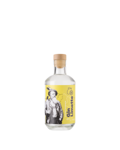 Dolomiti Gin Limette in der 0,5l Flasche mit 40 % vol